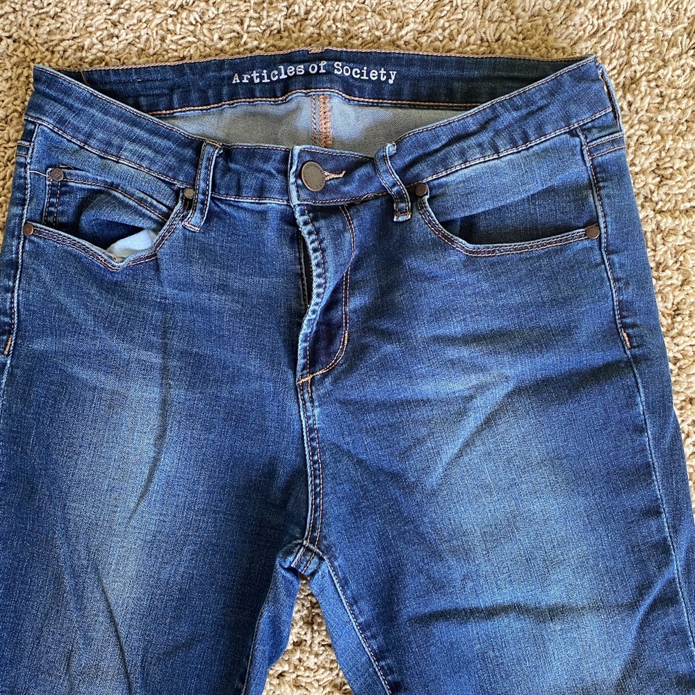 Articles of Society Skinny Jeans